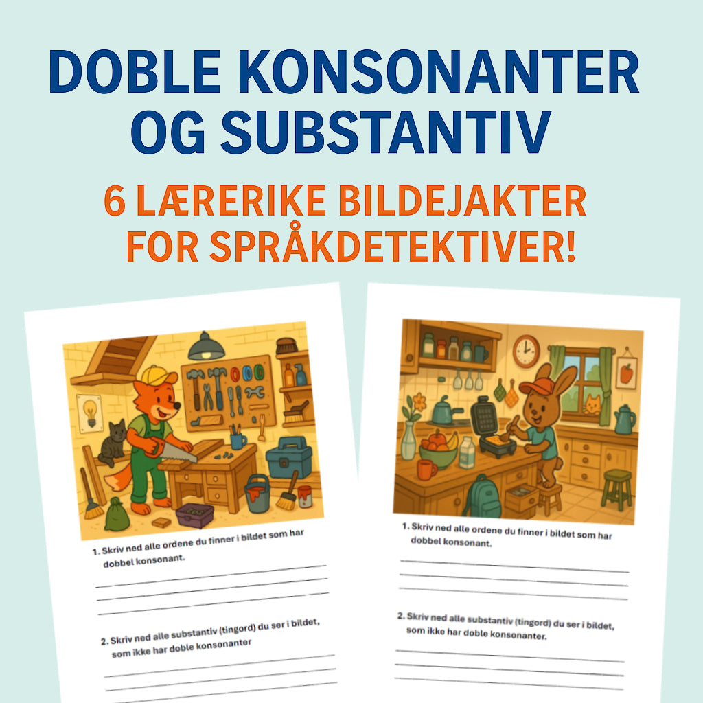 Bildejakt – Dobbel konsonant & substantiv