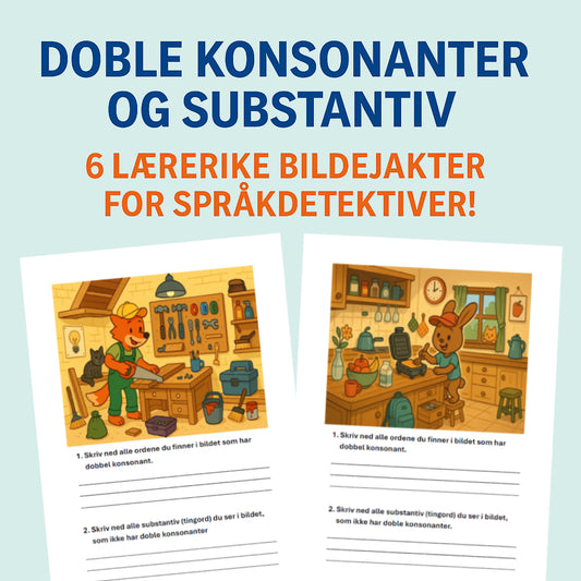 Bildejakt – Dobbel konsonant & substantiv