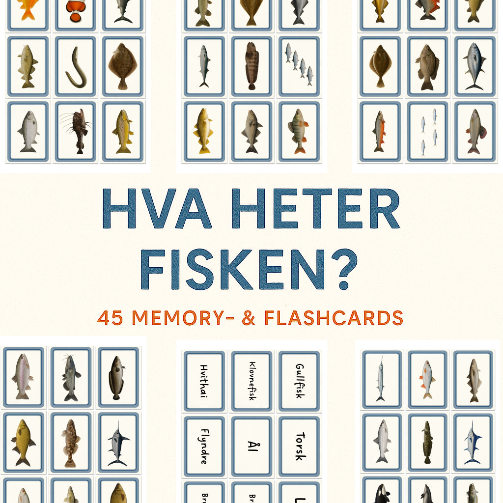 Hva Heter Fisken? 45 Memory & Flashcards