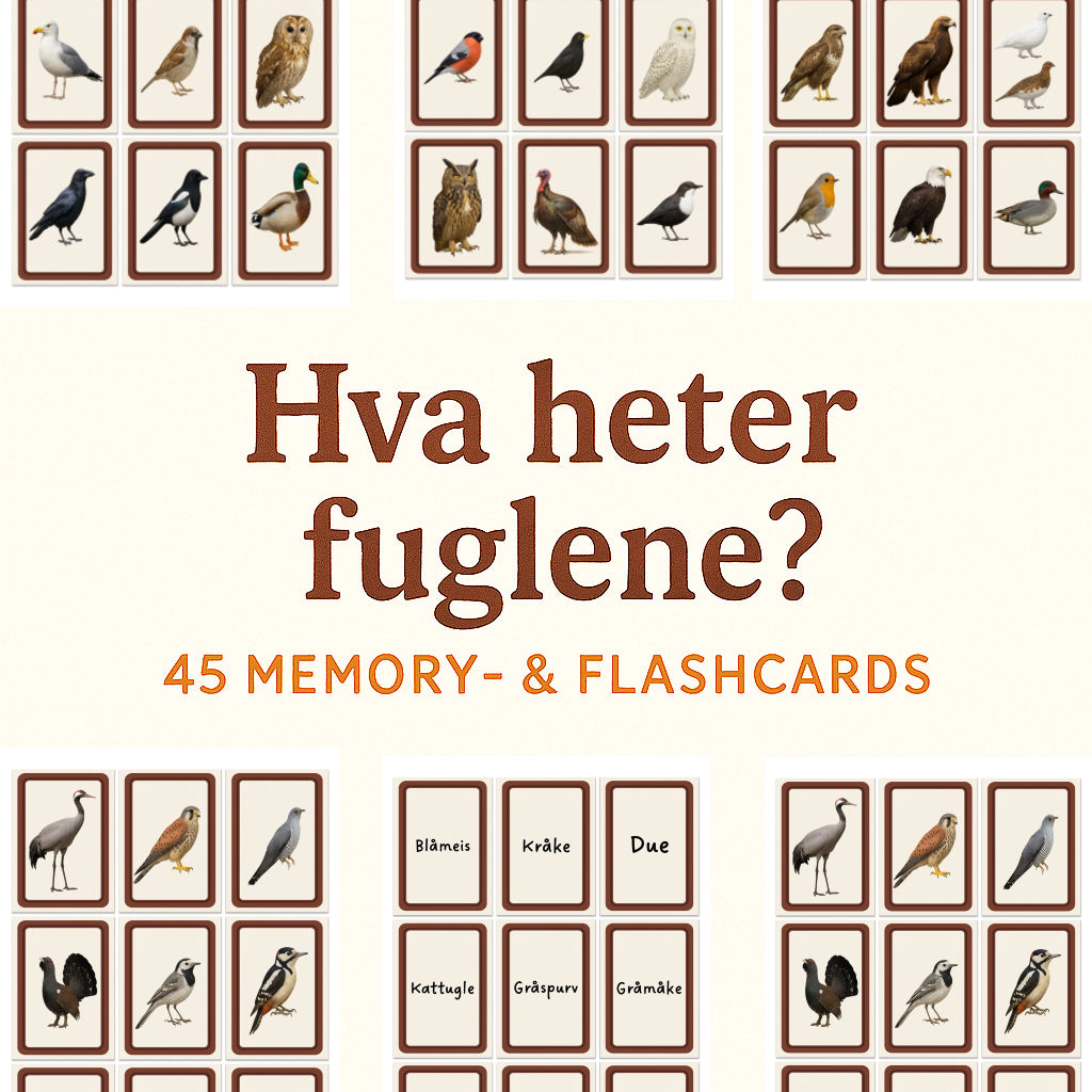 Hva Heter Fuglene? 45 Memory & Flashcards