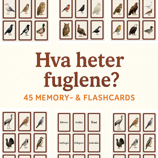 Hva Heter Fuglene? 45 Memory & Flashcards